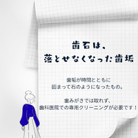 画像365
