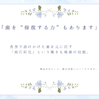 画像407