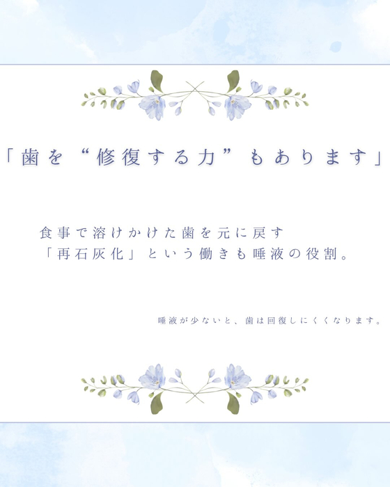 画像407