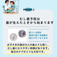 画像443